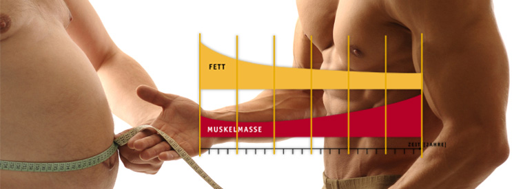 <h2>Positive Entwicklung der Körperkomposition...</h2><h3>...durch regelmäßiges Training und gesunde Ernährung!</h3>